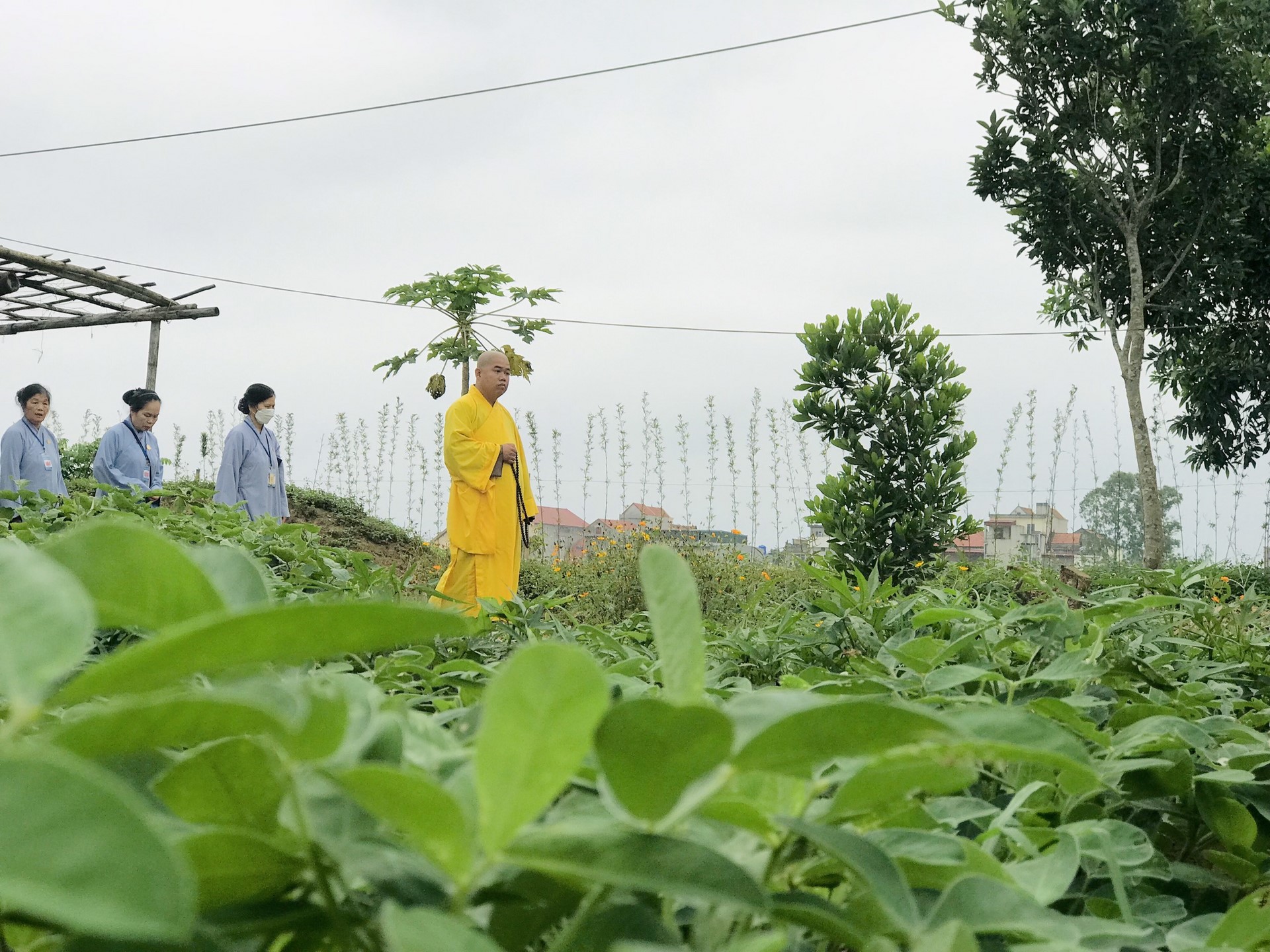 The 22nd Retreat “Learning the Practice as the Buddha Teachings” and a repentance ceremony at Dong Cao Pagoda, Thanh Hoa