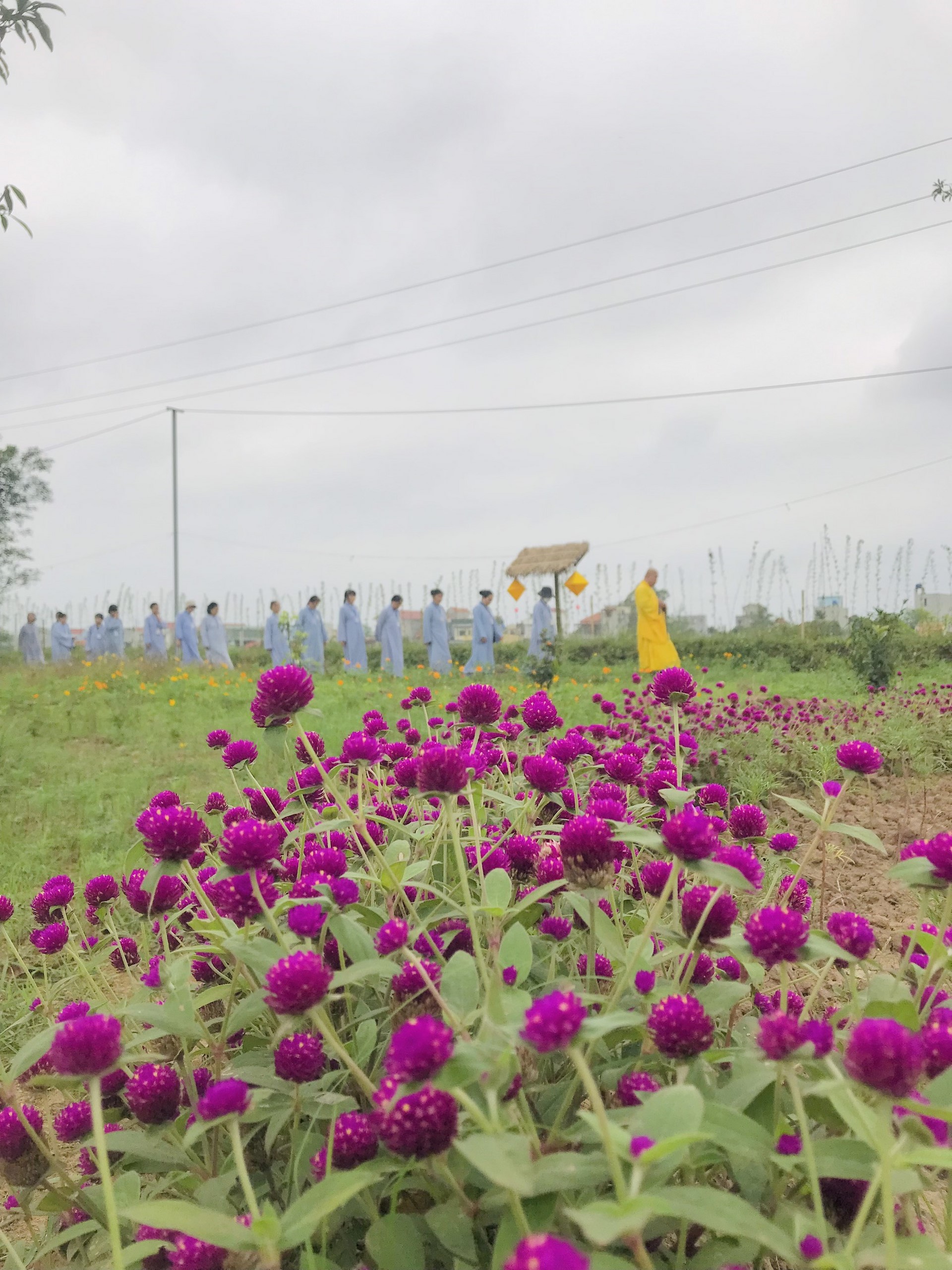 The 22nd Retreat “Learning the Practice as the Buddha Teachings” and a repentance ceremony at Dong Cao Pagoda, Thanh Hoa