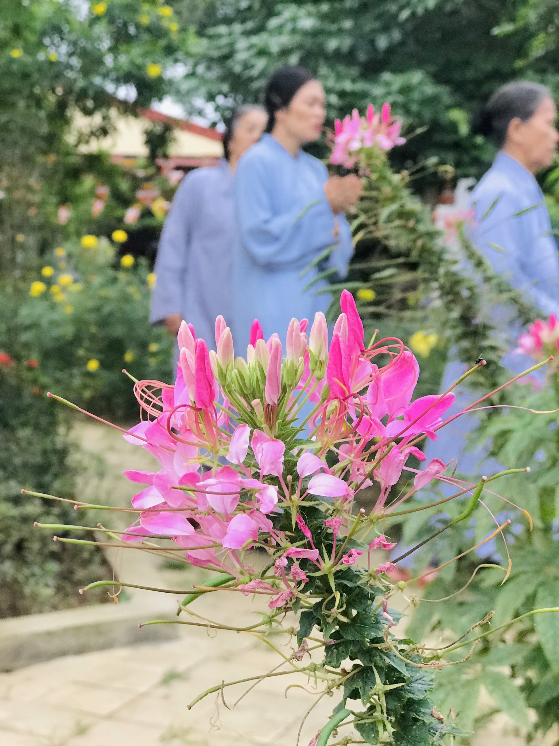 The 22nd Retreat “Learning the Practice as the Buddha Teachings” and a repentance ceremony at Dong Cao Pagoda, Thanh Hoa