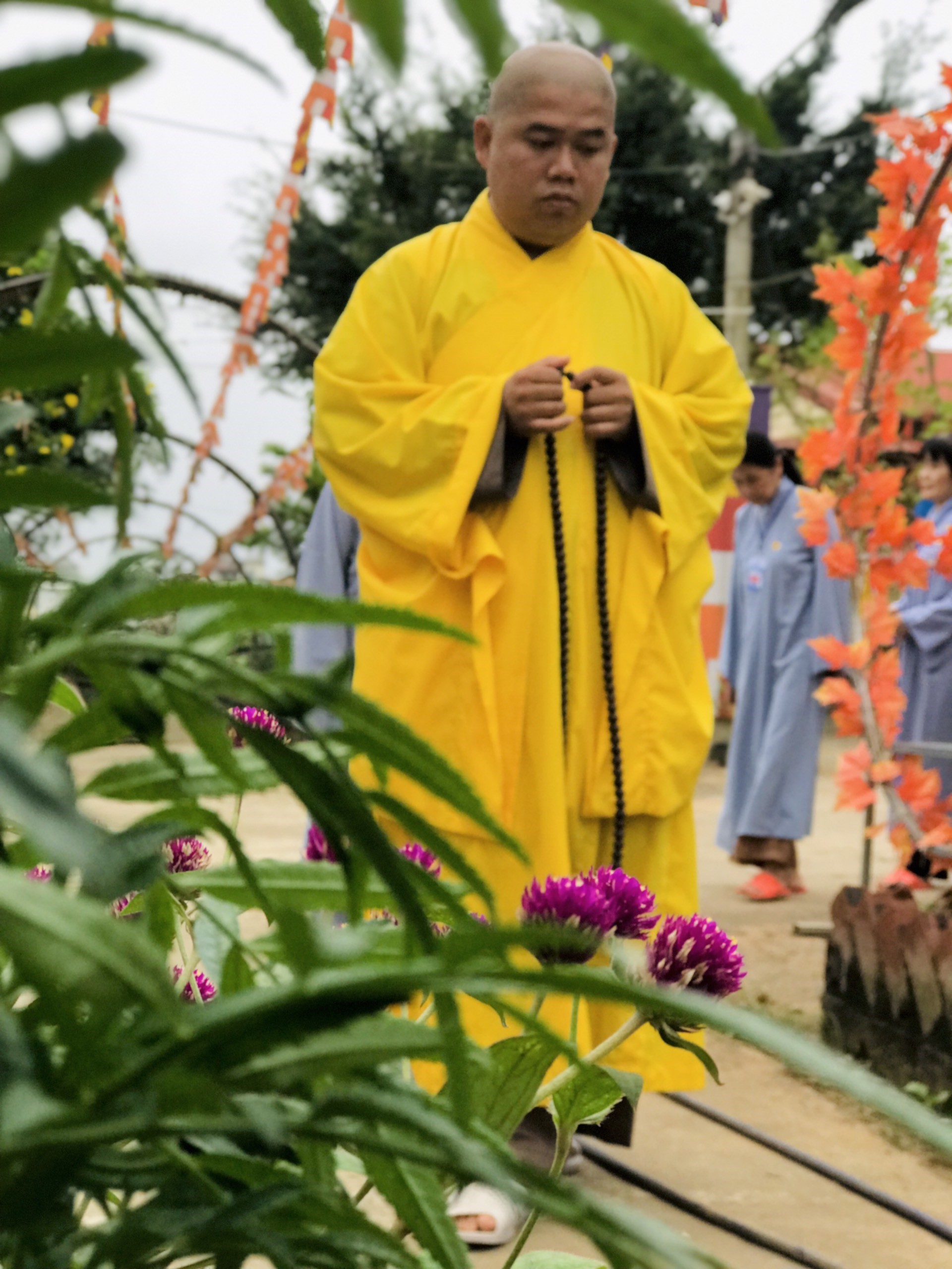 The 22nd Retreat “Learning the Practice as the Buddha Teachings” and a repentance ceremony at Dong Cao Pagoda, Thanh Hoa