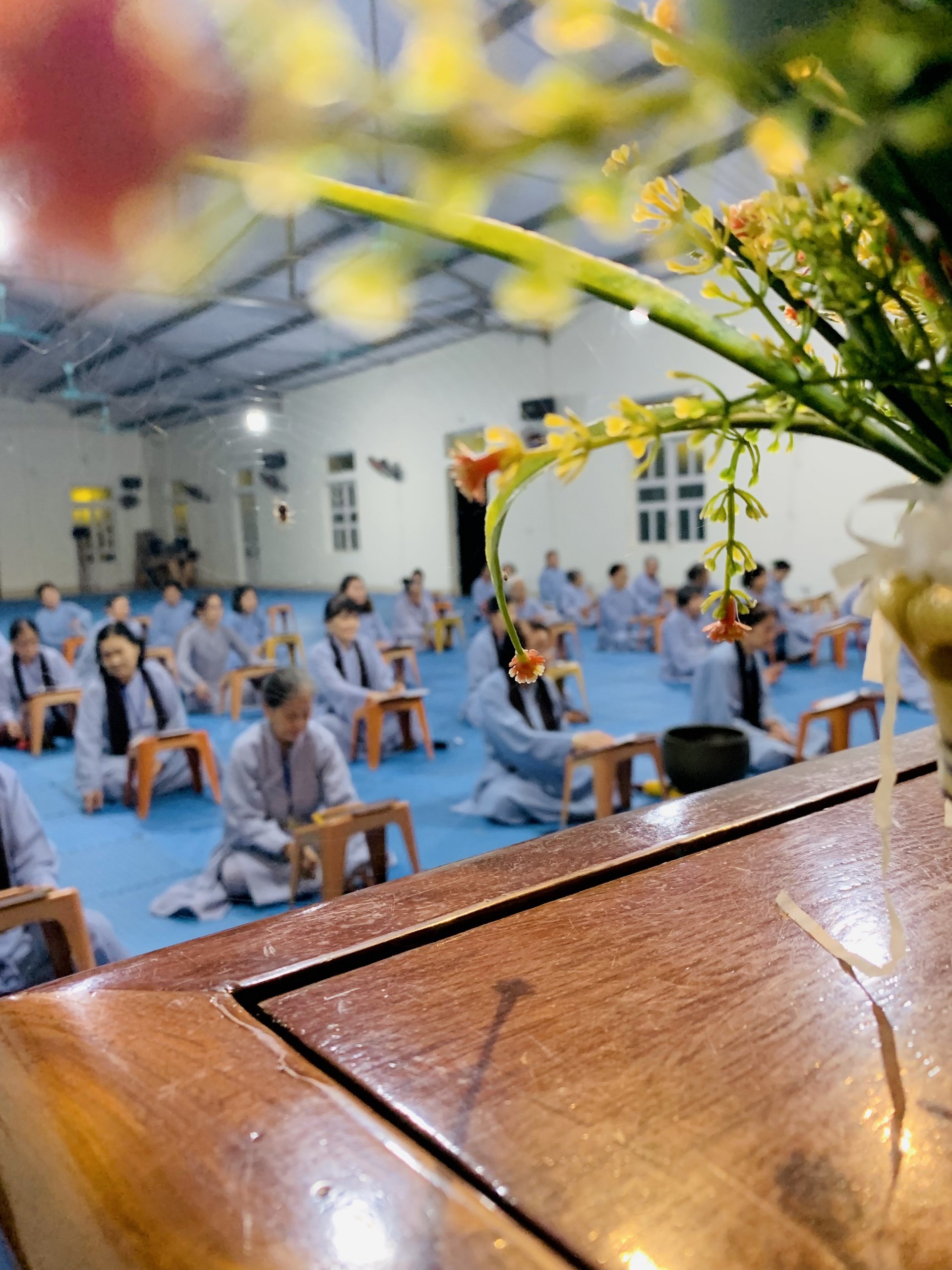 The 22nd Retreat “Learning the Practice as the Buddha Teachings” and a repentance ceremony at Dong Cao Pagoda, Thanh Hoa