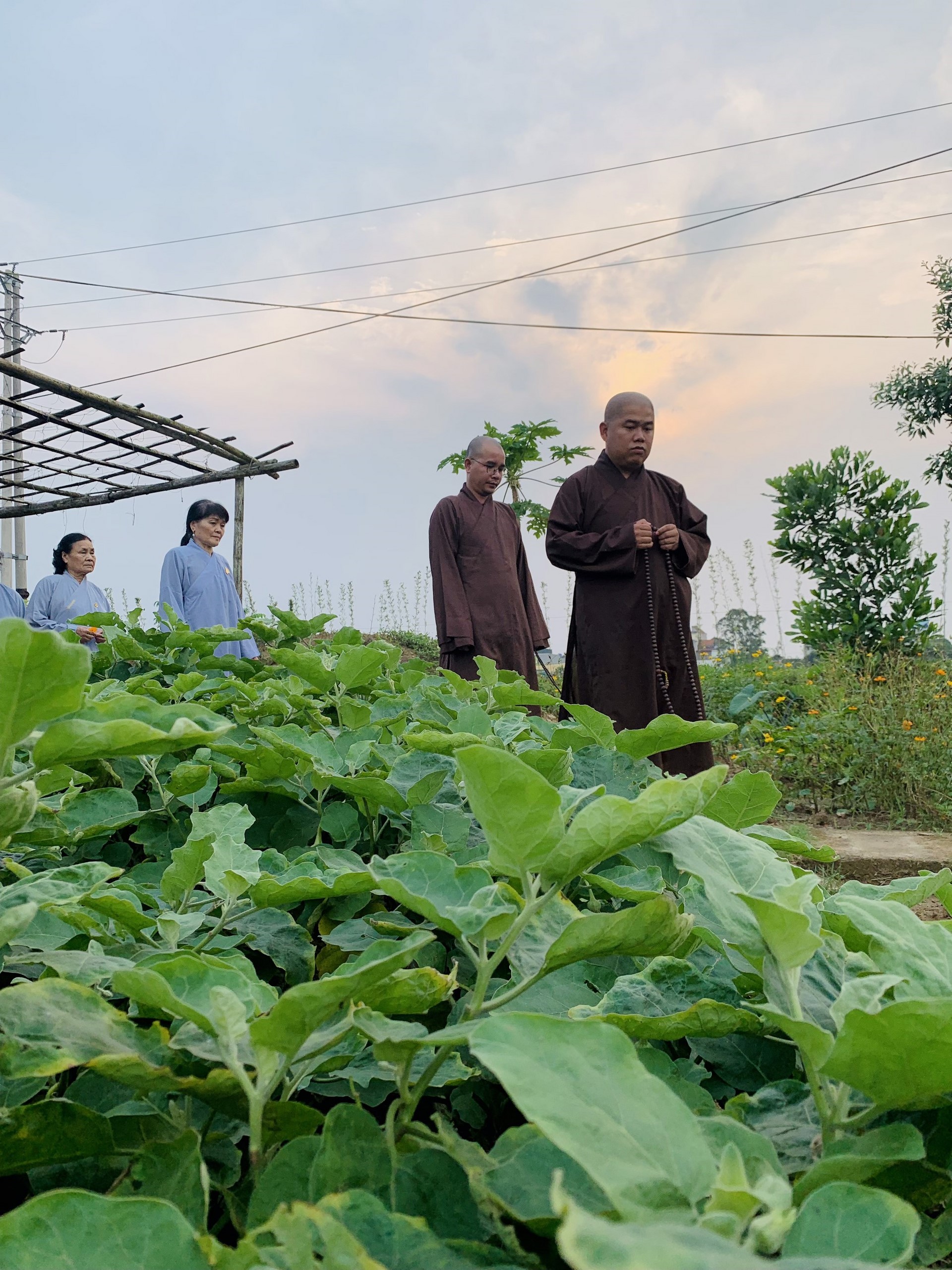 The 22nd Retreat “Learning the Practice as the Buddha Teachings” and a repentance ceremony at Dong Cao Pagoda, Thanh Hoa