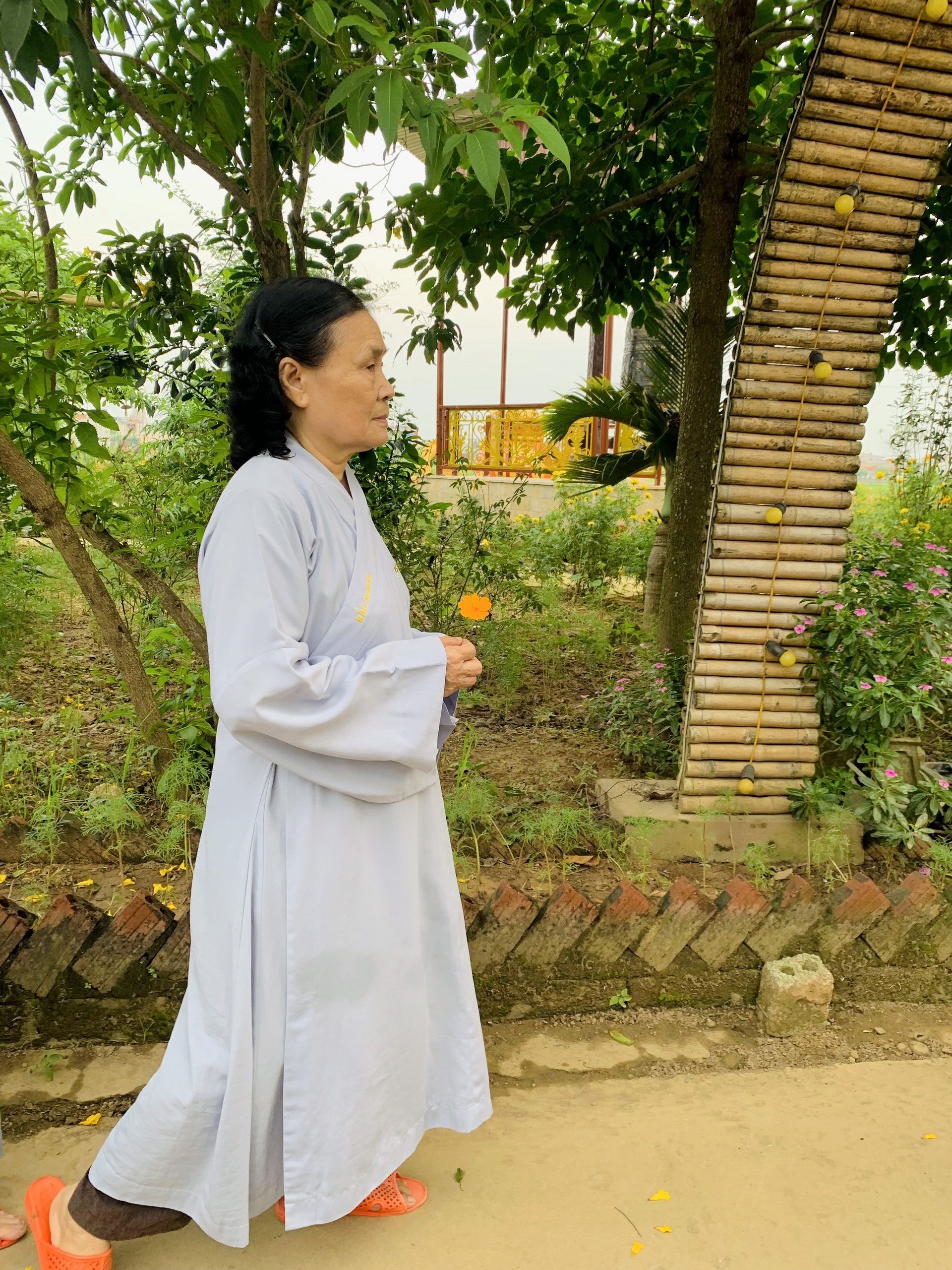 The 22nd Retreat “Learning the Practice as the Buddha Teachings” and a repentance ceremony at Dong Cao Pagoda, Thanh Hoa