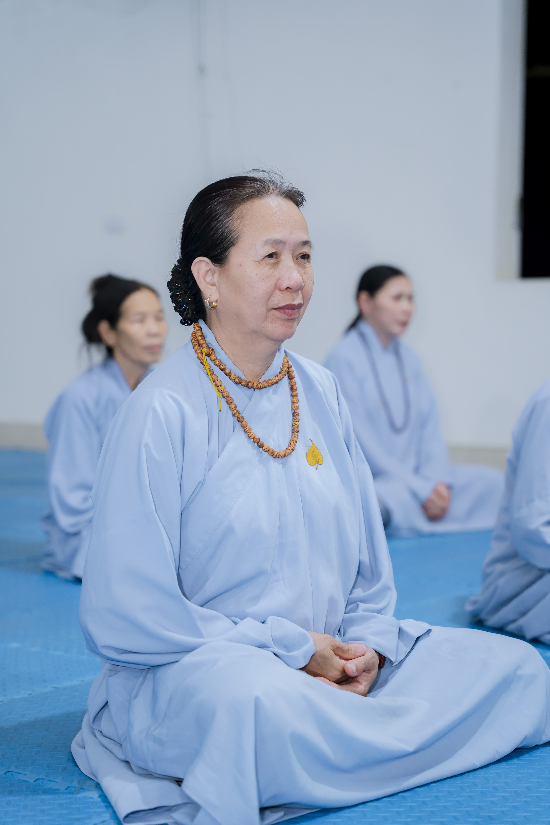 The 22nd Retreat “Learning the Practice as the Buddha Teachings” and a repentance ceremony at Dong Cao Pagoda, Thanh Hoa