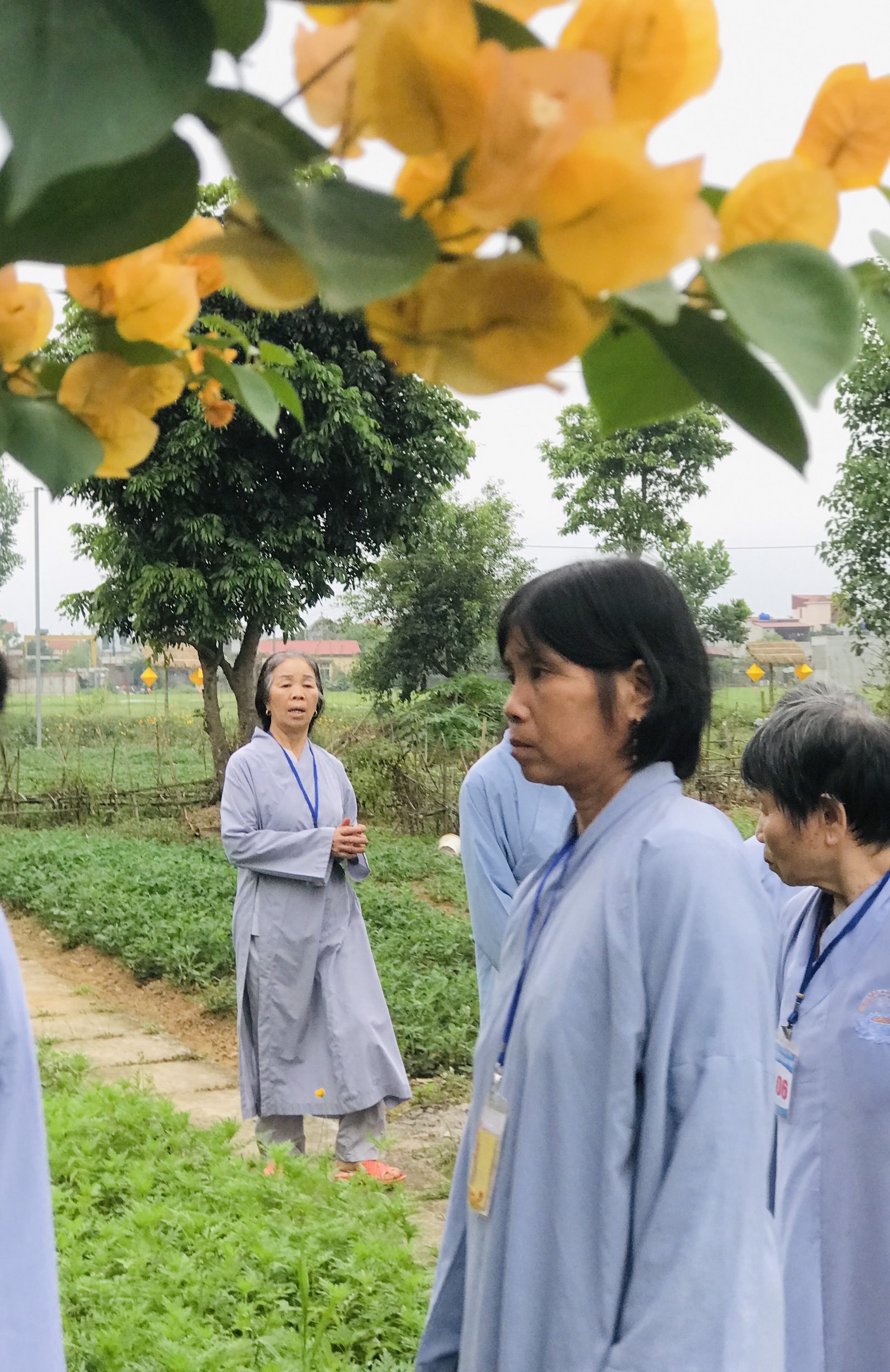 The 22nd Retreat “Learning the Practice as the Buddha Teachings” and a repentance ceremony at Dong Cao Pagoda, Thanh Hoa