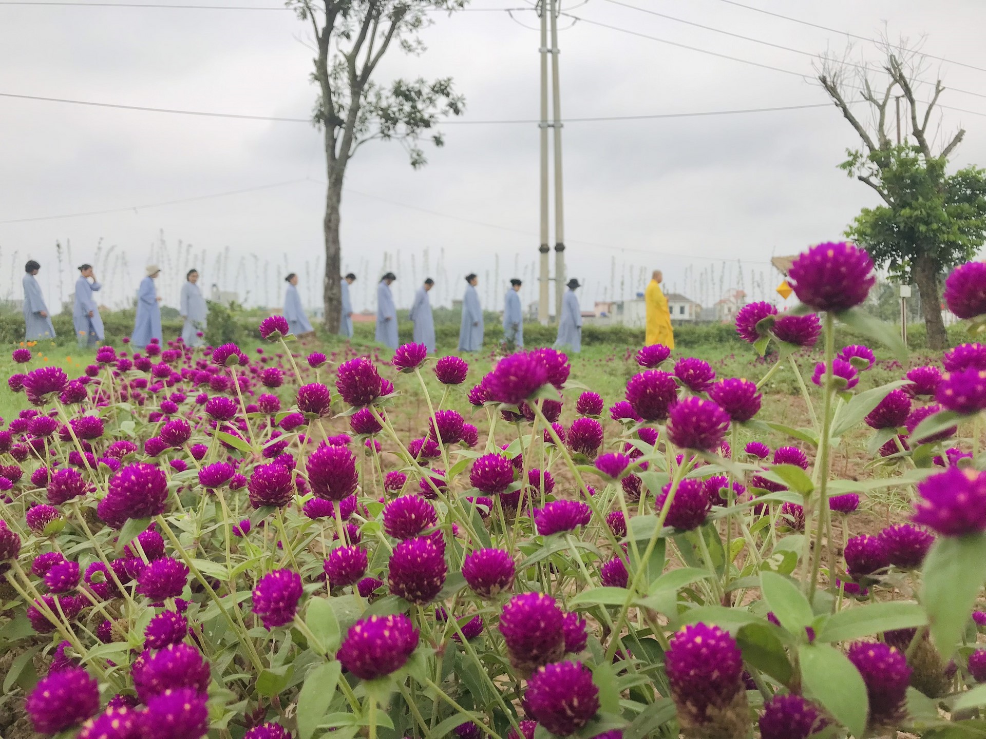 The 22nd Retreat “Learning the Practice as the Buddha Teachings” and a repentance ceremony at Dong Cao Pagoda, Thanh Hoa