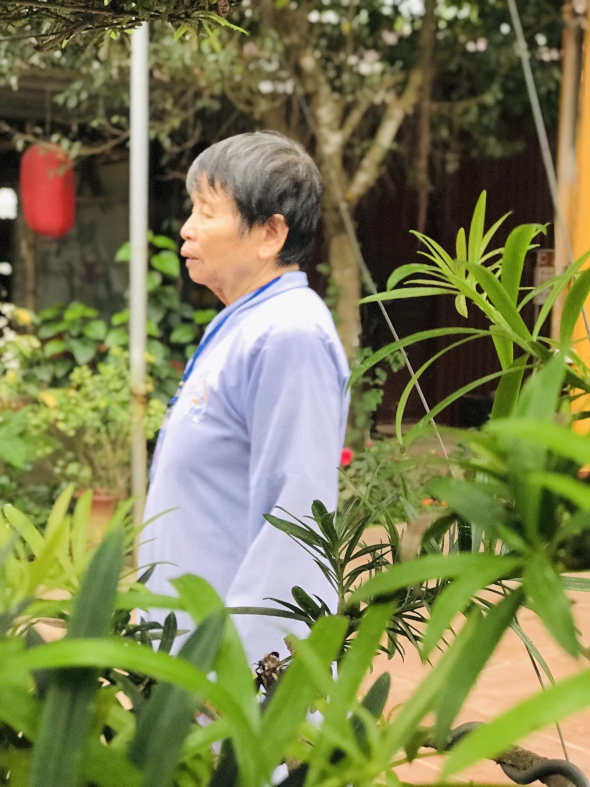 The 22nd Retreat “Learning the Practice as the Buddha Teachings” and a repentance ceremony at Dong Cao Pagoda, Thanh Hoa