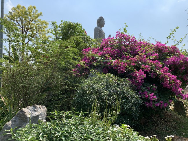 Chùa Suối Pháp – Tây Ninh: Lễ Sám hối 14/03 Giáp Thìn