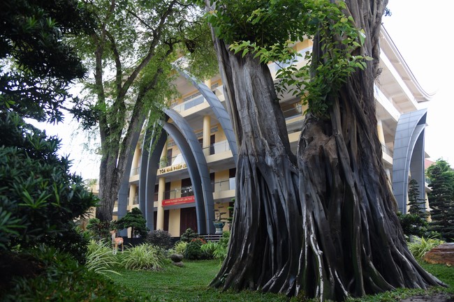 Entering into the 102nd Seven-Day Retreat