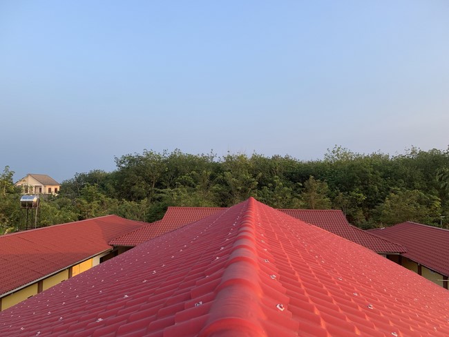 One-Day Peaceful Retreat at Suoi Phap Pagoda, Tay Ninh