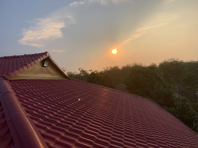 One-Day Peaceful Retreat at Suoi Phap Pagoda, Tay Ninh
