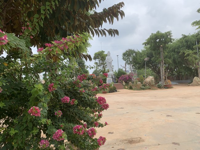 One-Day Peaceful Retreat at Suoi Phap Pagoda, Tay Ninh