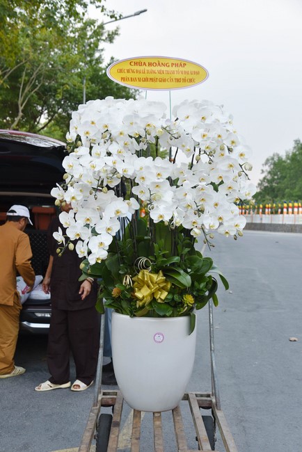 Cúng dường 2.000 quyển sách nhân Lễ tưởng niệm đức Thánh Tổ Ni tại Cần Thơ