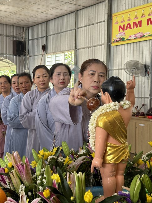 Chùa Trường Pháp – Hậu Giang: Lễ Phật đản (PL.2568 - DL.2024)