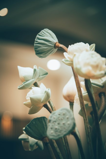 Ngày tu Sinh Viên Hướng Về Phật Pháp