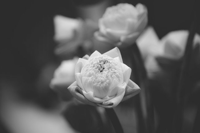 Ngày tu Sinh Viên Hướng Về Phật Pháp