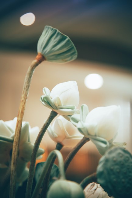 Ngày tu Sinh Viên Hướng Về Phật Pháp