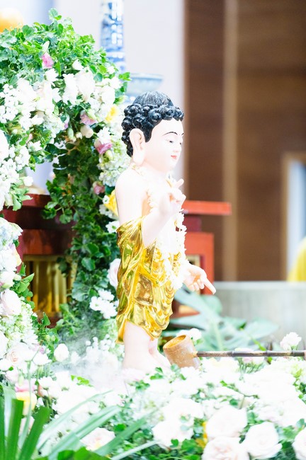 Ngày tu Sinh Viên Hướng Về Phật Pháp