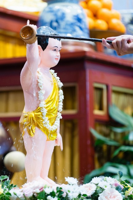 Ngày tu Sinh Viên Hướng Về Phật Pháp