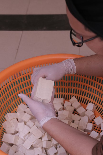 Dharma talk The lineage of Vietnamese Pure-Land Sect in the 102nd Seven-Day Retreat