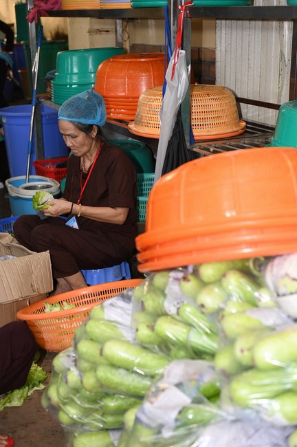 Dharma talk The lineage of Vietnamese Pure-Land Sect in the 102nd Seven-Day Retreat