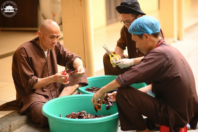 Dharma talk The lineage of Vietnamese Pure-Land Sect in the 102nd Seven-Day Retreat