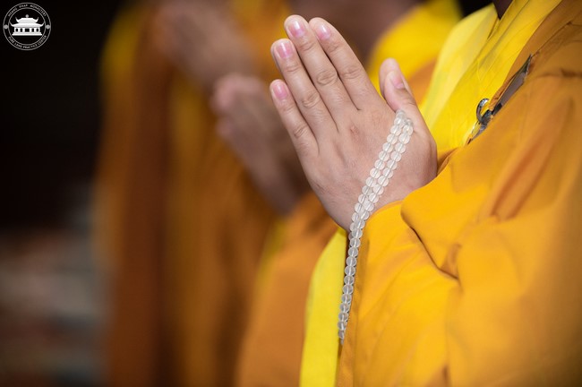 Dharma Talk: How many ten-year times? preaching by Junior Thich Chon Khanh - Fifth day in Summer Retreat 2024