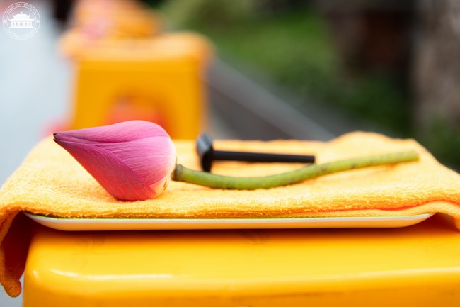 Starting the Temporary Ordination Retreat for Children in Summer with the theme Sowing compassion seeds