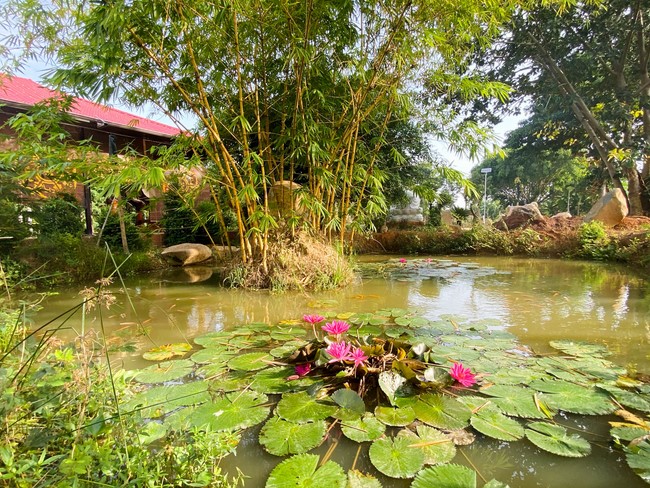 Kid Playground at Suoi Phap Pagoda, Tay Ninh