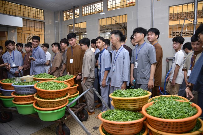 Officially entering to attend the Summer Retreat 2024