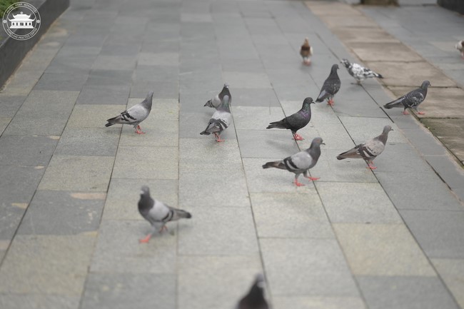 Officially entering to attend the Summer Retreat 2024