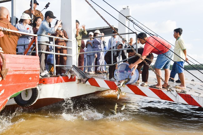 Đạo tràng Minh Chất – Cần Thơ: Lễ Vu Lan Báo Hiếu 2024
