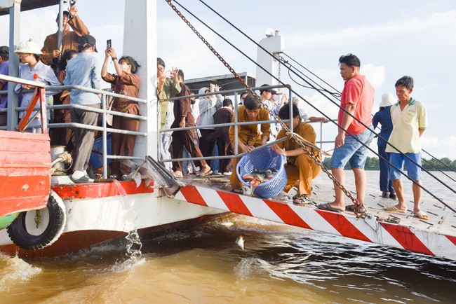 Đạo tràng Minh Chất – Cần Thơ: Lễ Vu Lan Báo Hiếu 2024