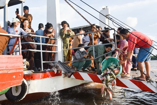 Đạo tràng Minh Chất – Cần Thơ: Lễ Vu Lan Báo Hiếu 2024