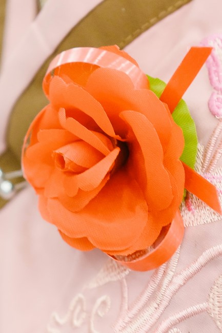 Chùa Đăng Pháp - Bình Phước: Đại lễ Vu Lan Báo Hiếu (PL.2568 - DL.2024)