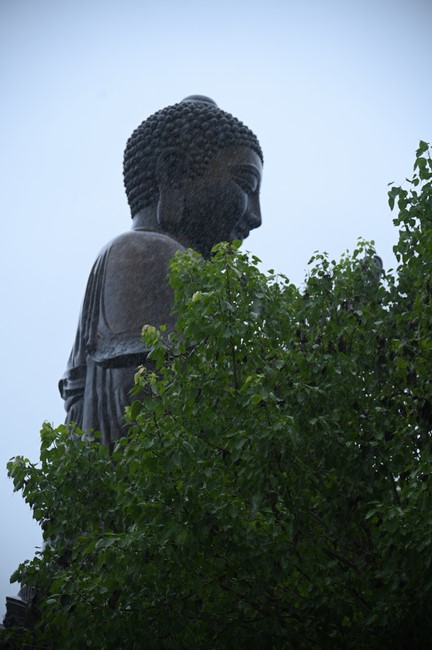 Quỹ đào tạo Tăng tài Ngộ Chân Tử cúng dường đến trường Trung cấp Phật học tỉnh Nam Định