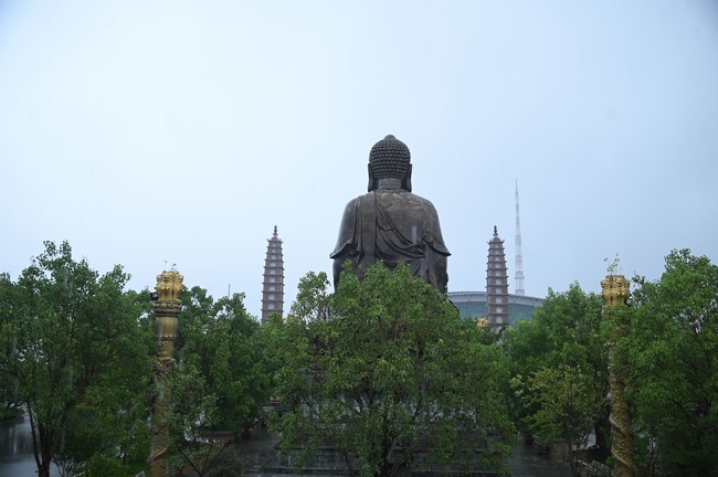 Quỹ đào tạo Tăng tài Ngộ Chân Tử cúng dường đến trường Trung cấp Phật học tỉnh Nam Định