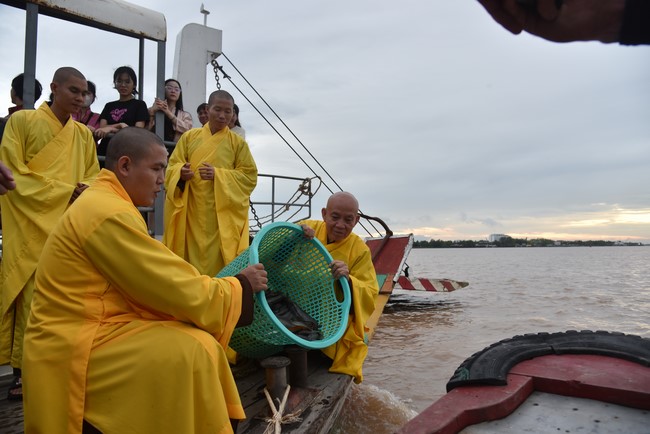 Đạo Tràng Minh Chất - Cần Thơ: Tu niệm Phật Một Ngày - Lần 8