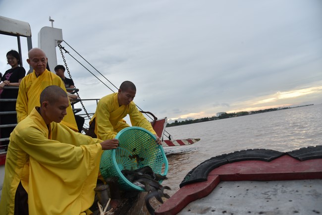 Đạo Tràng Minh Chất - Cần Thơ: Tu niệm Phật Một Ngày - Lần 8