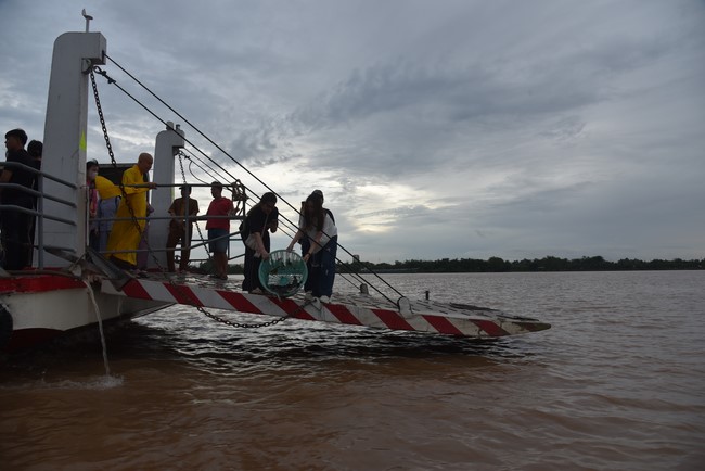 Đạo Tràng Minh Chất - Cần Thơ: Tu niệm Phật Một Ngày - Lần 8