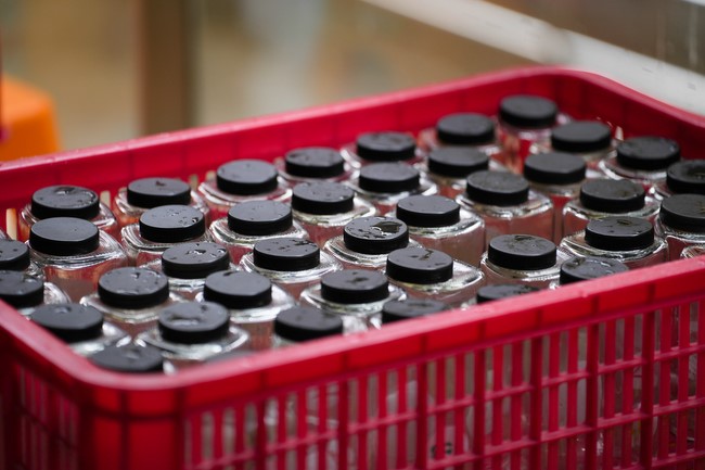 Community program of Body-mind Purification - Guiding a healthy living method in accordance with the nature