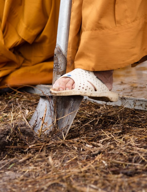 Lễ Cầu Nguyện Khởi Công Xây Dựng Chùa Quảng Pháp - Tây Ninh