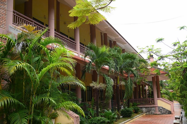 Quỹ đào tạo Tăng tài “Ngộ Chân Tử” cúng dường tại trường Trung cấp Phật học Thừa Thiên Huế và Học viện Phật giáo Việt Nam tại Huế.