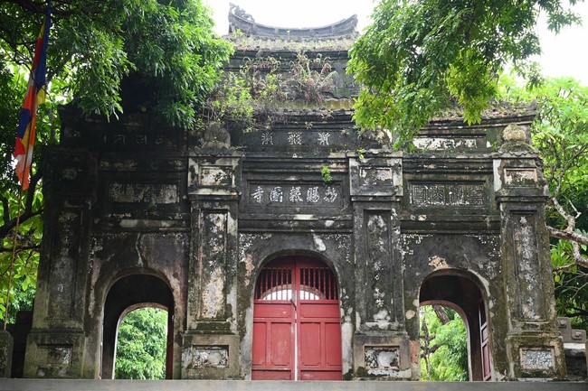 Quỹ đào tạo Tăng tài “Ngộ Chân Tử” cúng dường tại trường Trung cấp Phật học Thừa Thiên Huế và Học viện Phật giáo Việt Nam tại Huế.