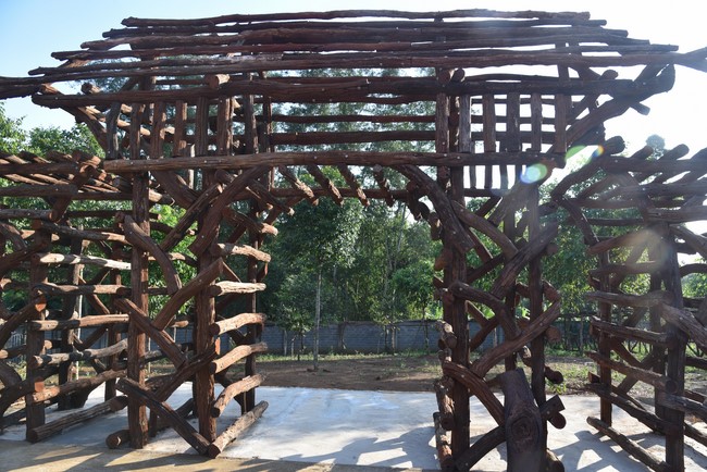 Offering to the Three Jewels at Hong Phap Pagoda - Binh Thuan by Charity Board