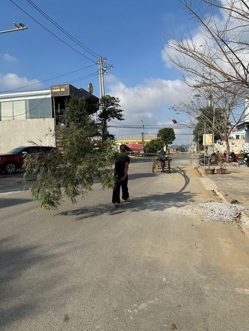 Chùa Đống Cao – Thanh Hoá: Lễ dựng nêu mừng xuân Ất Tỵ - 2025 và Lễ tri ân đệ tử lần thứ 7
