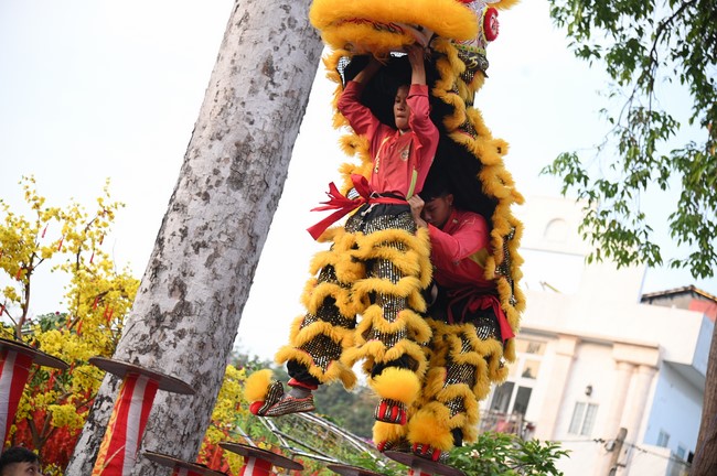 Khai mạc chương trình Tặng Chữ Đầu Xuân Ất Tỵ 2025