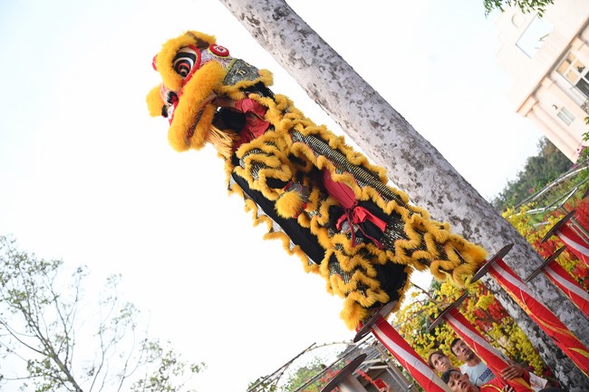 Khai mạc chương trình Tặng Chữ Đầu Xuân Ất Tỵ 2025