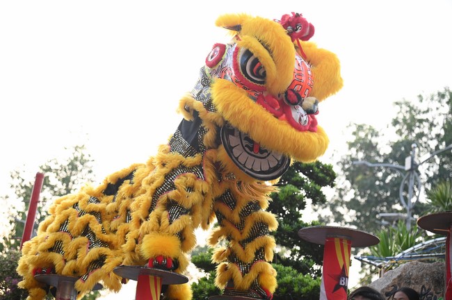 Khai mạc chương trình Tặng Chữ Đầu Xuân Ất Tỵ 2025