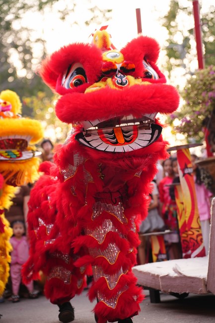 Khai mạc chương trình Tặng Chữ Đầu Xuân Ất Tỵ 2025